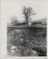 Gully erosion.