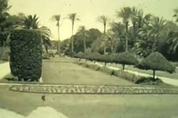 Egypt to Palestine part 1