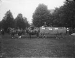Hog wagon, 1904