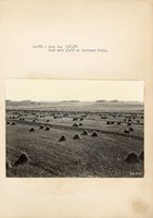 1934 - 1938 Multi-State Photograph Collection  