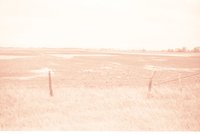 Fenced farmland with Water in the Field