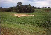1995  Terraces on Bill Tucker's Farm