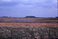 Larry Braby's Farm Before and After a Wetland Construction Project.