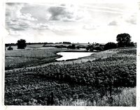 Conservation practices