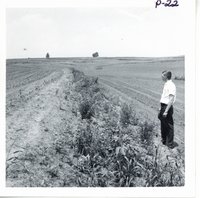 Backslope terrace on Wayne Walker farm