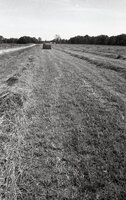 Baling hay