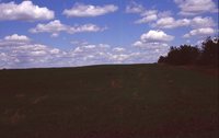 Larry Braby's Farm Before and After a Wetland Construction Project.