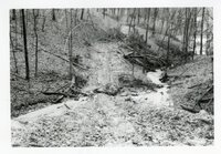1980s - Results of too much rain