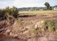 Erosion on river bank