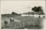 Fenced areas next to a long barn used as experimental pens for cattle, 1930