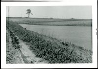 Photograph Collection of Carlson Pond, 1969