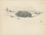 Buffalo in snow