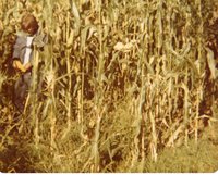 Tony Houston checks out corn