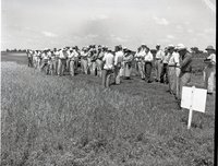 Large Tour Group Stands in Field