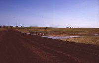 Larry Braby's Farm Before and After a Wetland Construction Project.