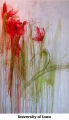 Spring Amaryllis #2