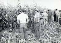 1978 No-till tours