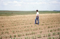 Water management farming practices on the Roepke farm.