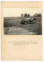 1938 - Farmer 0n cultivator behind two white horses