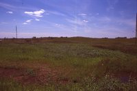 Larry Braby's Farm Before and After a Wetland Construction Project.