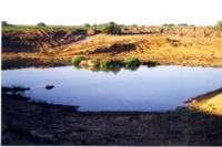 Herb Hollers conservation project, 1999