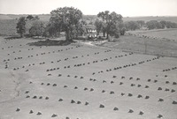 Paul Schuler Farm 