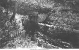 Effects of weathering on a bluff of Trenton Limestone, Postville, Iowa, late 1890s or early 1900s