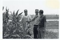 1978  No-till corn tour