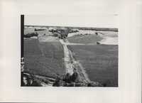 Reed canary grass waterway, 1965