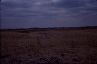 Larry Braby's Farm Before and After a Wetland Construction Project.