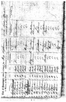 Henry Louis Hillemann Genealogy: Miscellaneous Materials