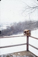Bird feeder.