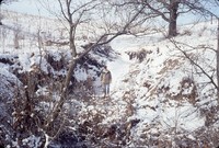 Winter gully.