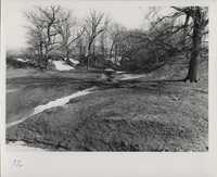 Gully erosion.