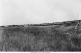 Loading out burned clay and ballast, Davis City, Iowa, September 1897