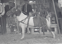 Hinman Milkers Display at the Whiteside County Fair 1942