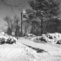 Central campus and Campanile in winter, 1953