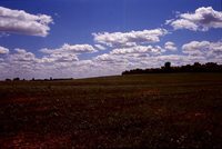 Larry Braby's Farm Before and After a Wetland Construction Project.