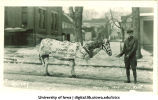 Students in horse costume for Mecca Day, The University of Iowa, 1923