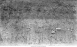 Pebble band on Iowan till, Fremont Township, Iowa, July 8, 1924