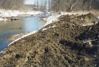 1999  Robert Yeager Flint Creek stream bank photos in early spring  before restoration 