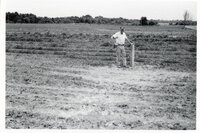 Photos of unidentified farmer standing in a field.