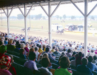 Dekalb Fair 1974
