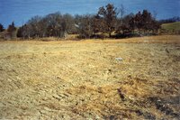 1999 Shallow water wetland established on Robert Yaeger farm