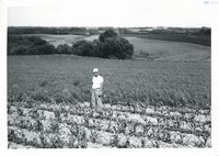 Kenneth Taplin farm, 1962