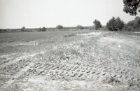 Drainage pipes in ground 