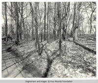 Native American burial mounds with cabin