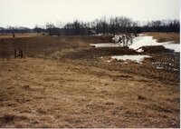 Construction of Ponds and Wetlands on Albert Heckenberg   farm