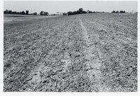 Dry fields