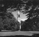 Campanile, 1952